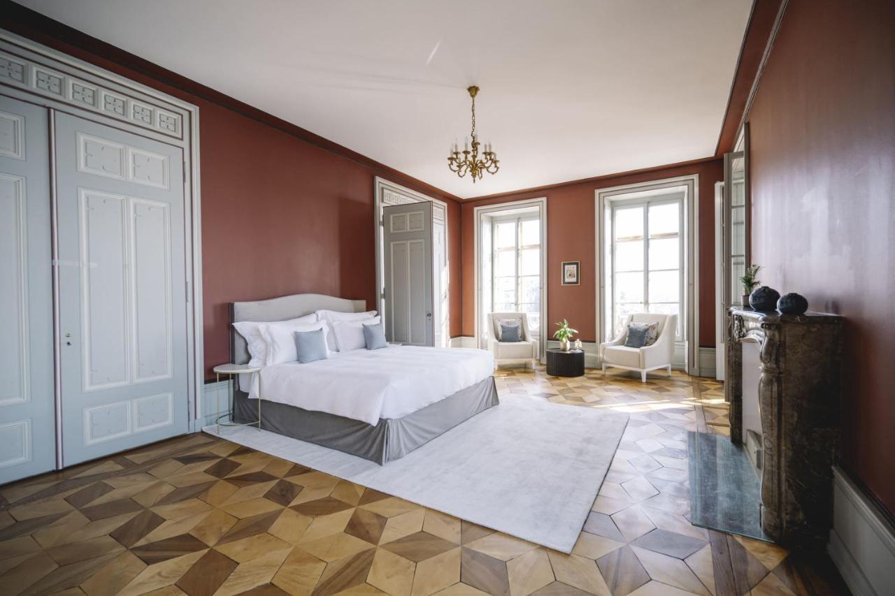 Chateau De L'Aile- Boutique Suites Vevey Esterno foto